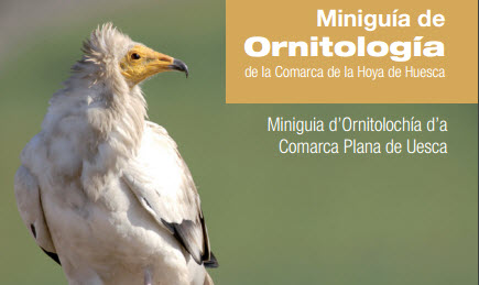 banner ornitologica.jpg